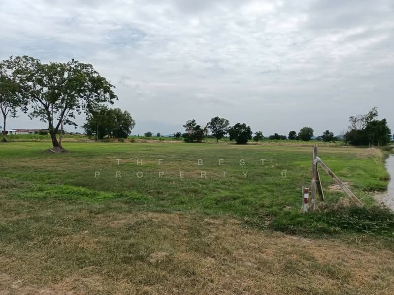 ที่ดินเดิมบางนางบวช สุพรรณบุรี, Suphan Buri, Nong Krathum, Doembang Nangbuat, Suphan Buri, , 6,312 sqm, Land For Sale, by The Best Property บี, 500219322 - DDproperty.com