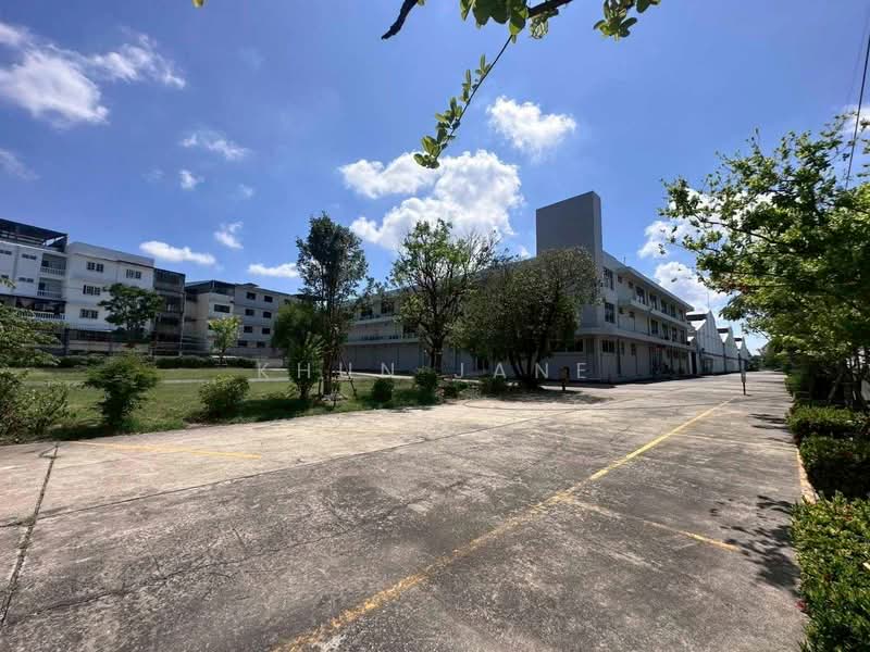 Warehouse for Rent on Thepharak Road (SPSJP240), Samut Prakan, เทพารักษ์, Thepharak, Muang Samut Prakarn, Samut Prakan, , 1,728 sqm, Warehouse/Factory For Rent, by Khun Jane, 500219330 - DDproperty.com