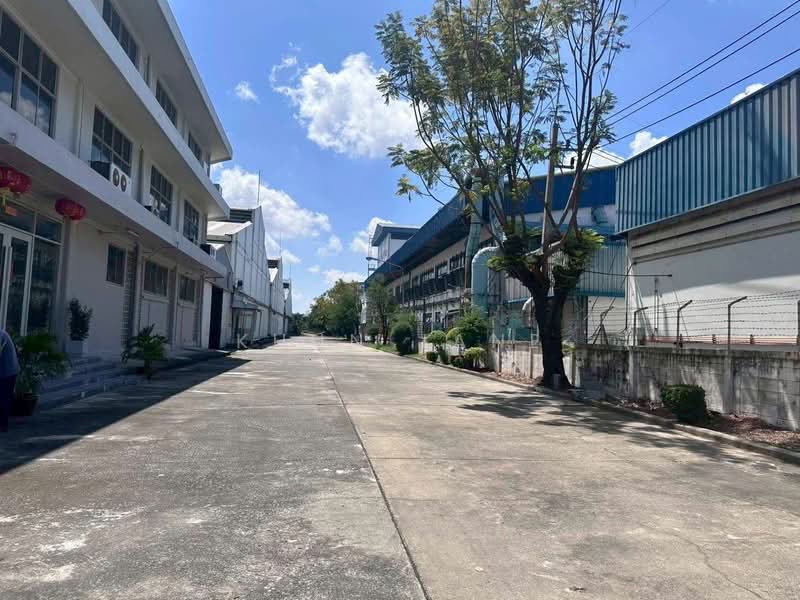 Warehouse for Rent on Thepharak Road (SPSJP240), Samut Prakan, เทพารักษ์, Thepharak, Muang Samut Prakarn, Samut Prakan, , 1,728 sqm, Warehouse/Factory For Rent, by Khun Jane, 500219330 - DDproperty.com