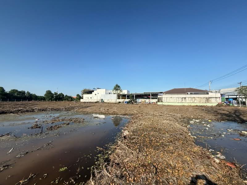ที่ดินท่าจีน สมุทรสาคร, Samut Sakhon, Tha Chin, Muang Samut Sakhon, Samut Sakhon, , 8,140 sqm, Land For Sale, by The Best Property  ดาด้า, 500219369 - DDproperty.com