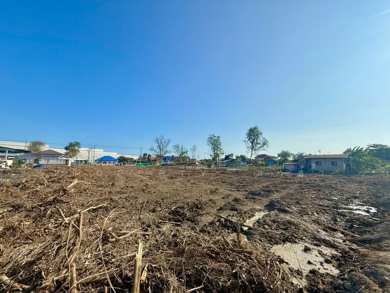 ที่ดินท่าจีน สมุทรสาคร, Samut Sakhon, Tha Chin, Muang Samut Sakhon, Samut Sakhon, , 8,140 sqm, Land For Sale, by The Best Property  ดาด้า, 500219369 - DDproperty.com