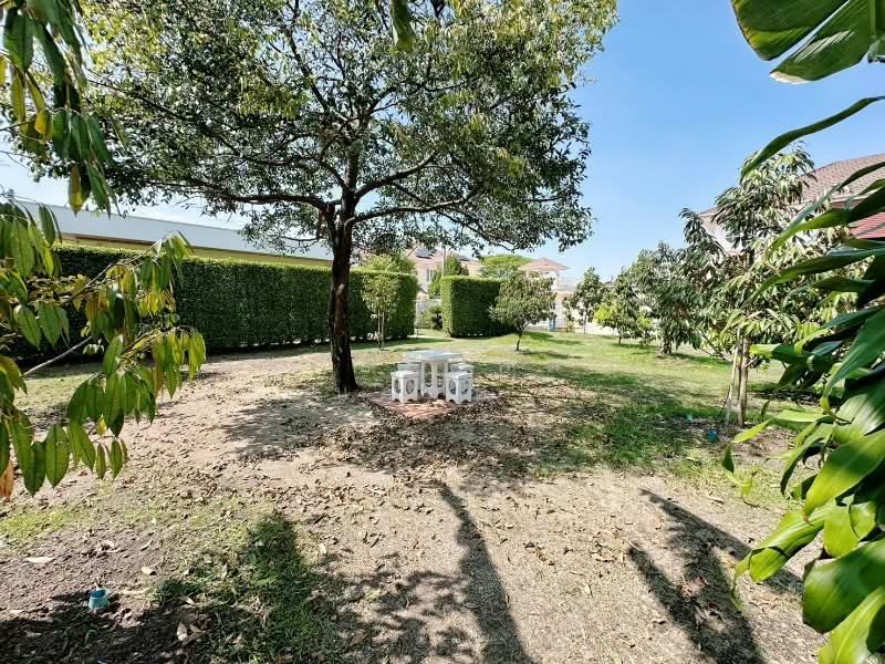 Laddarom Rattanathibet, Nonthaburi, Rattanathibet Road, Sai Ma, Muang Nonthaburi, Nonthaburi, , 524 sqm, Land For Sale, by คุณ อนาคต ( อนาคต ), 500219370 - DDproperty.com