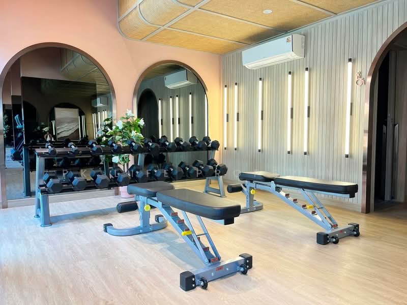 The Cube Amaze Srisoonthon, Phuket, 46/21 Srisoonthorn Rd, Sri Sunthon, Thalang, Phuket, 1 Bedroom, 30 sqm, Condo For Rent, by PK LIFE Property, 500219392 - DDproperty.com