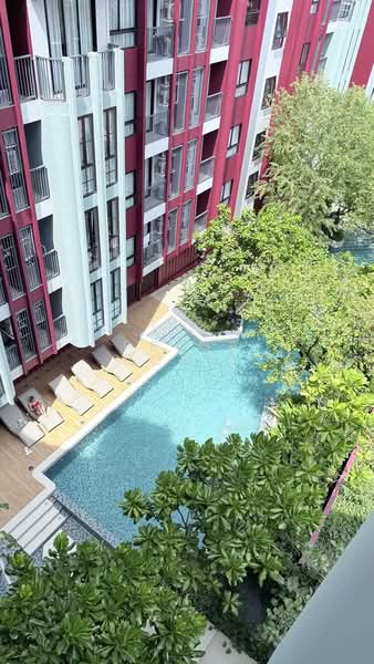 The Base Bukit Phuket, Phuket, 12 Vichitsongkram Rd, Wichit, Muang Phuket, Phuket, 1 Bedroom, 32 sqm, Condo For Rent, by Prime Rosie, 500219415 - DDproperty.com