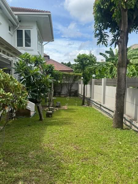 บ้านเดี่ยวโซนสุขุมวิท 107, กรุงเทพ, บางนา, กรุงเทพ, 650 ตร.ม., บ้านเดี่ยว ให้เช่า, โดย บี ตันจันทร์พงศ์, 500219452 - DDproperty.com