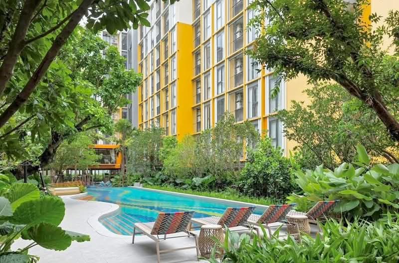 The Base Rise, ภูเก็ต, วิชิต, เมืองภูเก็ต, ภูเก็ต, 24 ตร.ม., คอนโด ให้เช่า, โดย PK LIFE Property, 500219463 - DDproperty.com