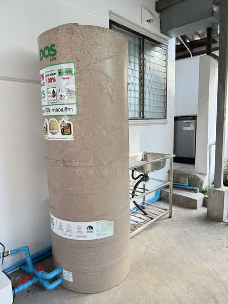 บ้านเดี่ยวสวนดอก, เชียงใหม่, สวนดอก, สุเทพ, เมืองเชียงใหม่, เชียงใหม่, 150 ตร.ม., บ้านเดี่ยว ขาย, โดย Chayanut Tabsri, 500219511 - DDproperty.com