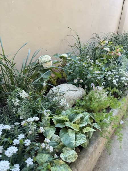 บ้านเดี่ยวสวนดอก, เชียงใหม่, สวนดอก, สุเทพ, เมืองเชียงใหม่, เชียงใหม่, 150 ตร.ม., บ้านเดี่ยว ขาย, โดย Chayanut Tabsri, 500219511 - DDproperty.com