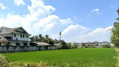 ขาย - ที่ดินสันทราย, เชียงใหม่