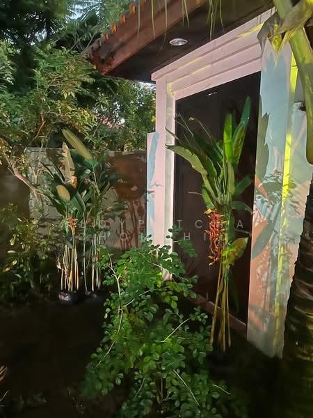 undefined, Chon Buri (Pattaya), Huai Yai, Bang Lamung (Pattaya), Chon Buri (Pattaya), 3 Bedrooms, 250 sqm, Single Detached House For Rent, by Ploypatcha Chomchid, 500219615 - DDproperty.com