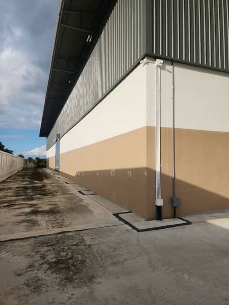 ให้เช่าคลังสินค้าขนาดใหญ่ ลำลูกกา คลอง 8 ปทุมธานี ขนาด 3,500 และ 2,500 ตร.ม., Pathum Thani, ลำลูกกา คลอง8, Lam Luk Ka, Lam Luk Ka, Pathum Thani, , 6,000 sqm, Warehouse/Factory For Rent, by สุภาวรรณ คำเปียง, 500219696 - DDproperty.com