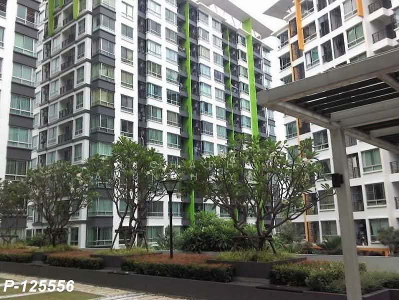 Plus City Park Sukhumvit 101/1 : พลัส ซิตี้ พาร์ค สุขุมวิท 101/1, กรุงเทพ, 6 ซอย วชิรธรรมสาธิต 31, บางจาก, พระโขนง, กรุงเทพ, 51 ตร.ม., คอนโด ให้เช่า, โดย Nichaphat Sakunchayapha, 500219864 - DDproperty.com