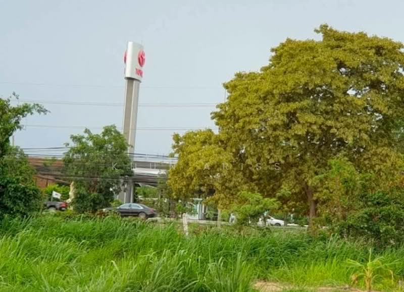 ขาย ที่ดินเปล่า 8 ไร่ 3 งาน ฝั่งตรงข้ามตลาดน้ำสี่ภาค พัทยา, Chon Buri (Pattaya), ถนนสุขุมวิท, Bang Lamung, Bang Lamung (Pattaya), Chon Buri (Pattaya), , 14,000 sqm, Land For Sale, by Khun Ariss, 500219909 - DDproperty.com