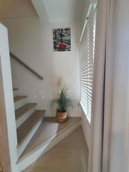 Indy 4 Bangna km.7, Samut Prakan, Bangna-Trad Road, Bang Kaeo, Bang Plee, Samut Prakan, 2 Bedrooms, 90 sqm, Townhouse For Rent, by Connex Property, 500219913 - DDproperty.com