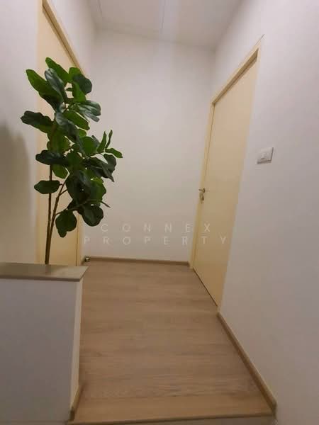 Indy 4 Bangna km.7, Samut Prakan, Bangna-Trad Road, Bang Kaeo, Bang Plee, Samut Prakan, 2 Bedrooms, 90 sqm, Townhouse For Rent, by Connex Property, 500219913 - DDproperty.com