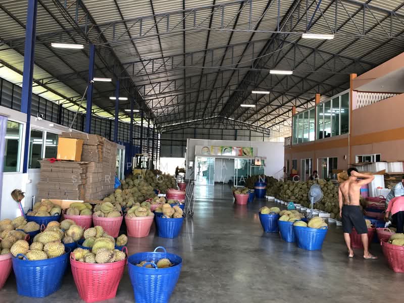 ขาย - ขายโรงงาน พร้อมห้องเย็น เนื้อที่ 621 ตรว. พท.ใช้สอย 2,400 ตรม., จันทบุรี
