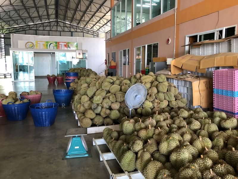 ขาย - ขายโรงงาน พร้อมห้องเย็น เนื้อที่ 621 ตรว. พท.ใช้สอย 2,400 ตรม., จันทบุรี