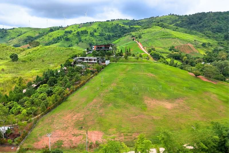 ที่ดินเขาค้อ เพชรบูรณ์ แบ่งขาย 101 ตร.วา - 100+ ไร่, เพชรบูรณ์, ทุ่งสมอ, เขาค้อ, เพชรบูรณ์, 1,600 ตร.ม., ที่ดิน ขาย, โดย สุภาวรรณ คำเปียง, 500220032 - DDproperty.com