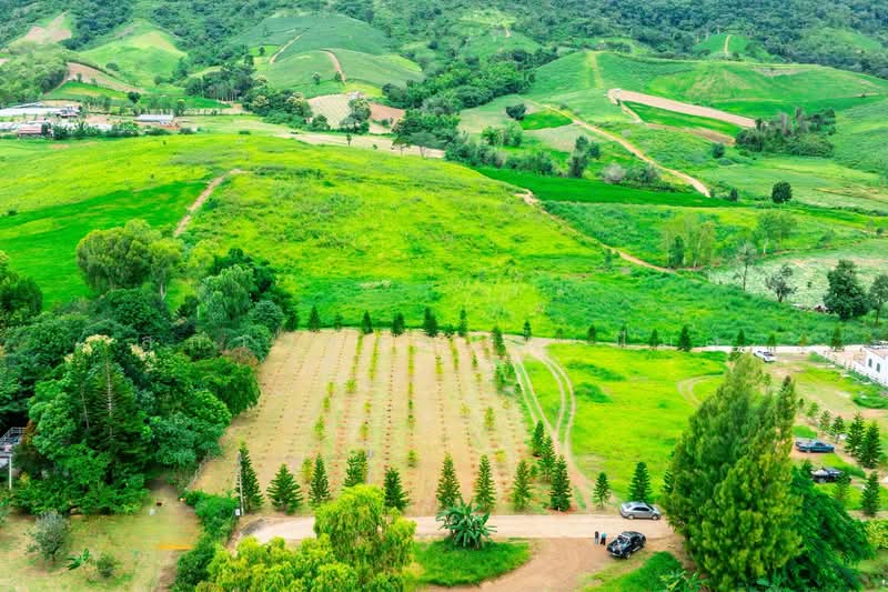 ที่ดินเขาค้อ เพชรบูรณ์ แบ่งขาย 101 ตร.วา - 100+ ไร่, เพชรบูรณ์, ทุ่งสมอ, เขาค้อ, เพชรบูรณ์, 1,600 ตร.ม., ที่ดิน ขาย, โดย สุภาวรรณ คำเปียง, 500220032 - DDproperty.com