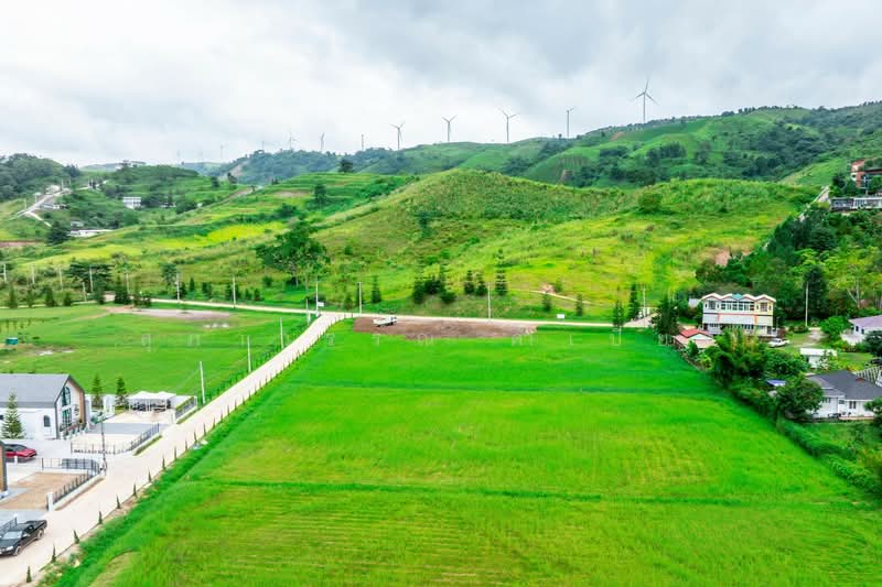 Khao Kho Land for Sale: Nor Sor 4. Plots available from 101 Sq. Wah to 100+ Rai., Phetchabun, Thung Samo, Khao Kho, Phetchabun, , 1,600 sqm, Land For Sale, by สุภาวรรณ คำเปียง, 500220032 - DDproperty.com