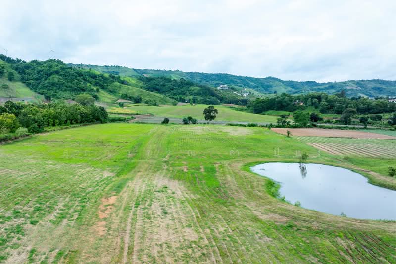 Khao Kho Land for Sale: Nor Sor 4. Plots available from 101 Sq. Wah to 100+ Rai., Phetchabun, Thung Samo, Khao Kho, Phetchabun, , 1,600 sqm, Land For Sale, by สุภาวรรณ คำเปียง, 500220032 - DDproperty.com