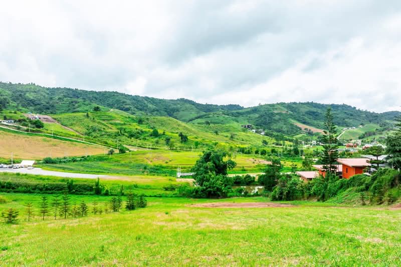 ที่ดินเขาค้อ เพชรบูรณ์ แบ่งขาย 101 ตร.วา - 100+ ไร่, เพชรบูรณ์, ทุ่งสมอ, เขาค้อ, เพชรบูรณ์, 1,600 ตร.ม., ที่ดิน ขาย, โดย สุภาวรรณ คำเปียง, 500220032 - DDproperty.com