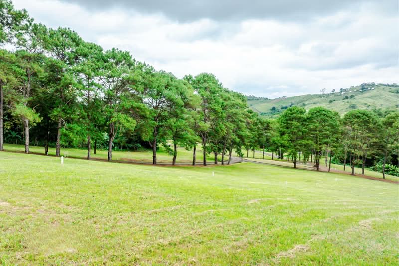 Khao Kho Land for Sale: Nor Sor 4. Plots available from 101 Sq. Wah to 100+ Rai., Phetchabun, Thung Samo, Khao Kho, Phetchabun, , 1,600 sqm, Land For Sale, by สุภาวรรณ คำเปียง, 500220032 - DDproperty.com