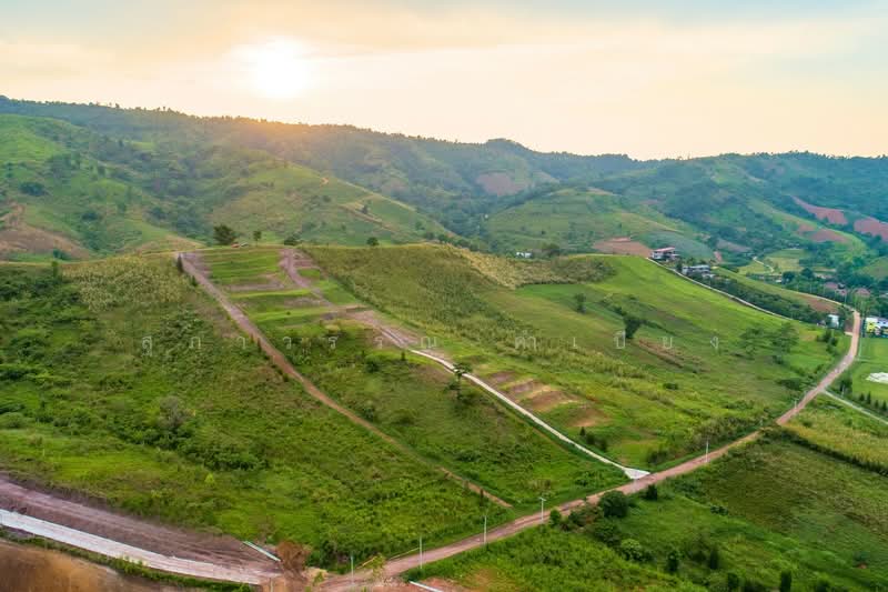 Khao Kho Land for Sale: Nor Sor 4. Plots available from 101 Sq. Wah to 100+ Rai., Phetchabun, Thung Samo, Khao Kho, Phetchabun, , 1,600 sqm, Land For Sale, by สุภาวรรณ คำเปียง, 500220032 - DDproperty.com