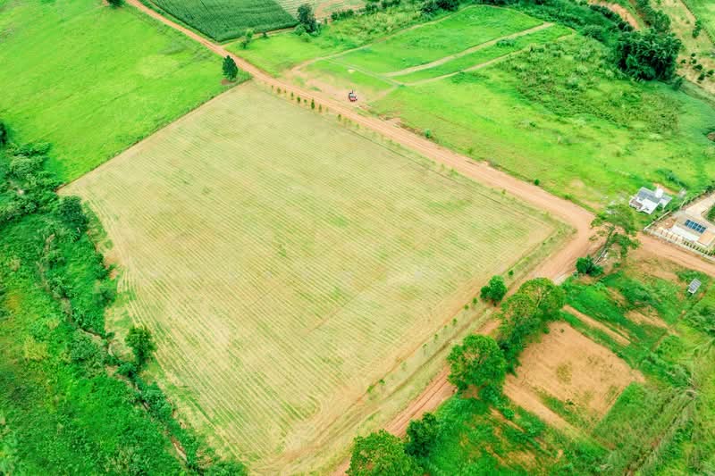 Khao Kho Land for Sale: Nor Sor 4. Plots available from 101 Sq. Wah to 100+ Rai., Phetchabun, Thung Samo, Khao Kho, Phetchabun, , 1,600 sqm, Land For Sale, by สุภาวรรณ คำเปียง, 500220032 - DDproperty.com