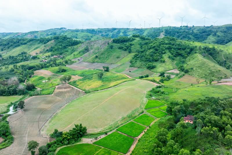 Khao Kho Land for Sale: Nor Sor 4. Plots available from 101 Sq. Wah to 100+ Rai., Phetchabun, Thung Samo, Khao Kho, Phetchabun, , 1,600 sqm, Land For Sale, by สุภาวรรณ คำเปียง, 500220032 - DDproperty.com