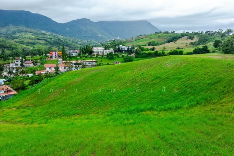 Khao Kho Land for Sale: Nor Sor 4. Plots available from 101 Sq. Wah to 100+ Rai., Phetchabun, Thung Samo, Khao Kho, Phetchabun, , 1,600 sqm, Land For Sale, by สุภาวรรณ คำเปียง, 500220032 - DDproperty.com