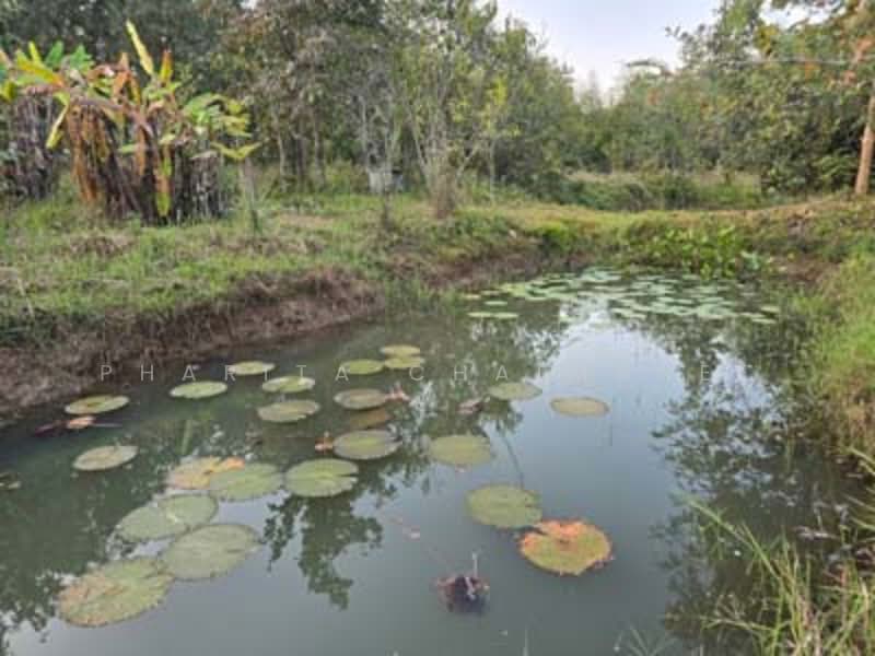 ไม่พบโครงการ, Chiang Mai, -, Huai Sai, Mae Rim, Chiang Mai, , 14,760 sqm, Land For Sale, by Pharita Chaimanee, 500220073 - DDproperty.com