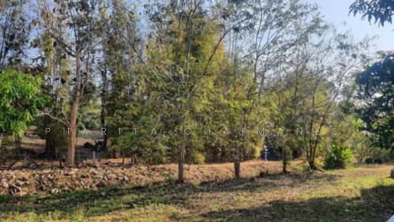 ไม่พบโครงการ, Chiang Mai, -, Huai Sai, Mae Rim, Chiang Mai, , 14,760 sqm, Land For Sale, by Pharita Chaimanee, 500220073 - DDproperty.com