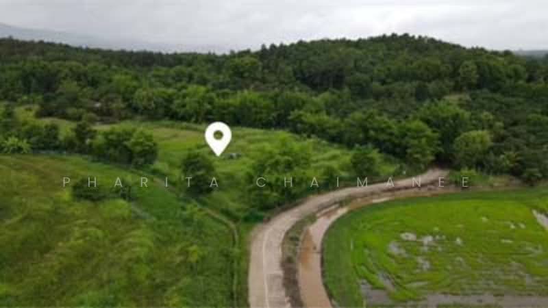 ไม่พบโครงการ, Chiang Mai, -, Huai Sai, Mae Rim, Chiang Mai, , 14,760 sqm, Land For Sale, by Pharita Chaimanee, 500220073 - DDproperty.com