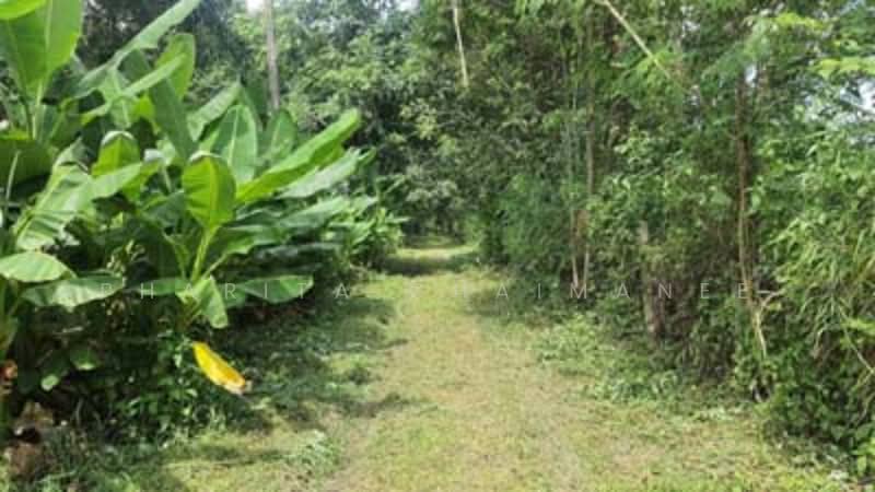 ขาย - ไม่พบโครงการ, เชียงใหม่