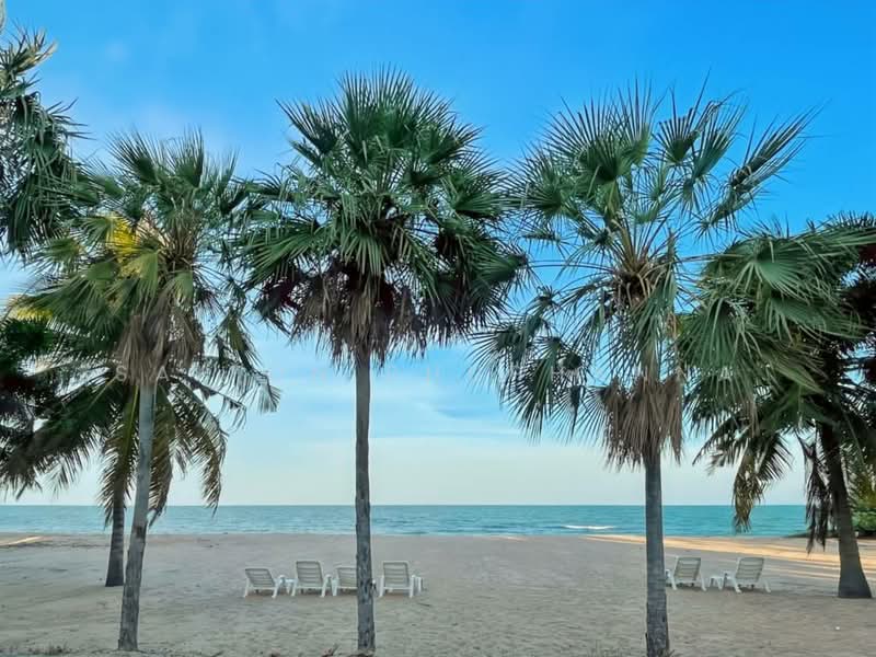 The Beach Palace : เดอะ บีช พาเลซ, เพชรบุรี, ภูมิเวท, ชะอำ, ชะอำ, เพชรบุรี, 153 ตร.ม., คอนโด ขาย, โดย Saifon Phuphanna, 500220194 - DDproperty.com