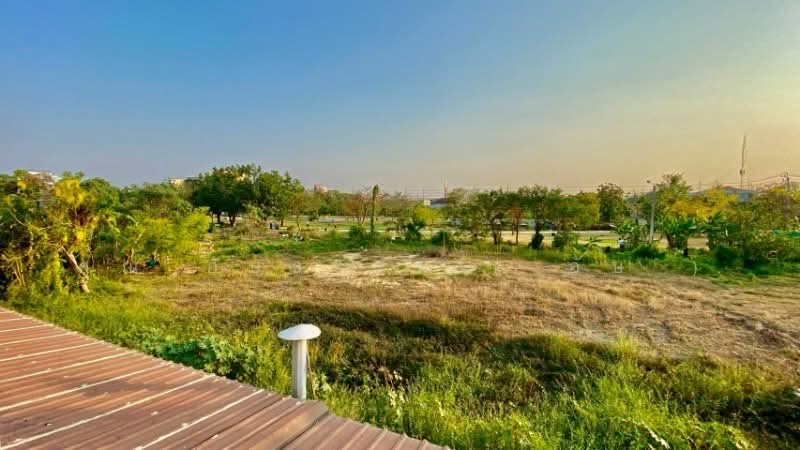 Golden Town Chaiyaphruek – Wongwean : โกลเด้น ทาวน์ ชัยพฤกษ์ – วงแหวน, นนทบุรี, ถนนบางกรวย - ไทรน้อย, ไทรน้อย, ไทรน้อย, นนทบุรี, 131 ตร.ม., ทาวน์เฮ้าส์ ขาย, โดย คุณ อัษธรรม ( อัษ ), 500220464 - DDproperty.com