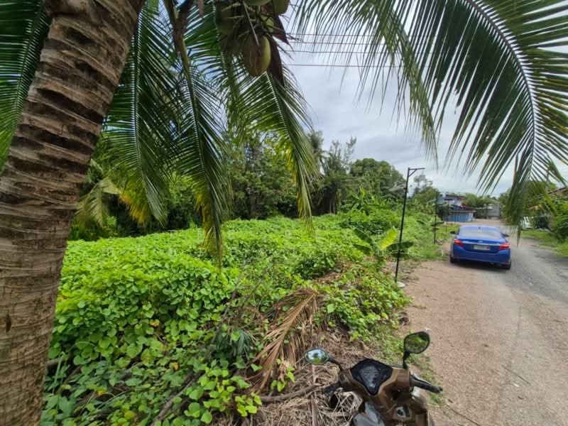 ขาย - ที่ดินบ้านปรก สมุทรสงคราม, สมุทรสงคราม