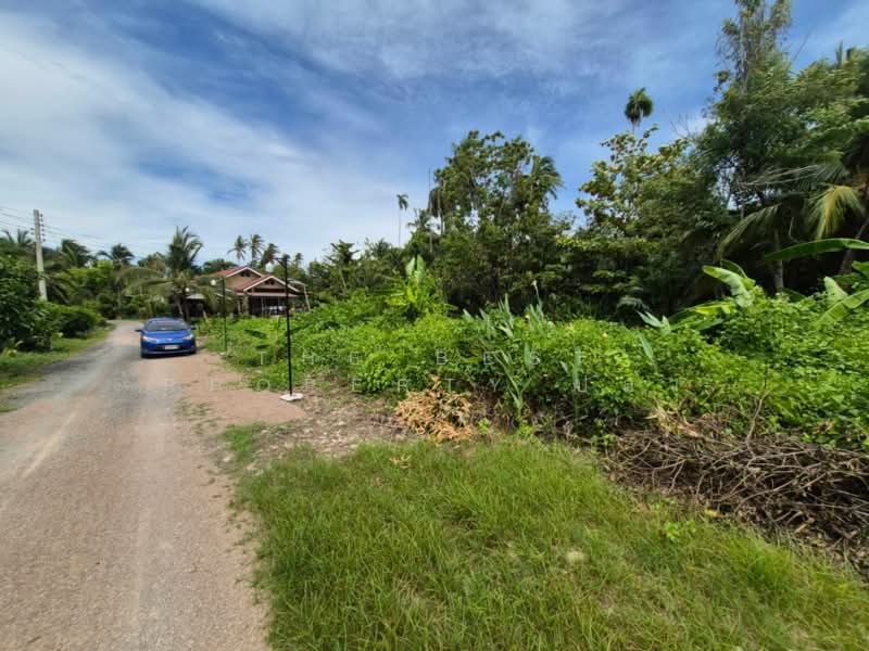 ขาย - ที่ดินบ้านปรก สมุทรสงคราม, สมุทรสงคราม