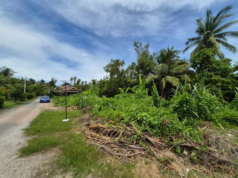 ขาย - ที่ดินบ้านปรก สมุทรสงคราม, สมุทรสงคราม