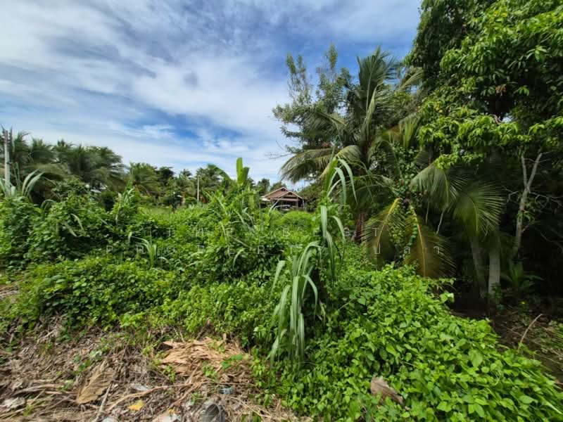 ขาย - ที่ดินบ้านปรก สมุทรสงคราม, สมุทรสงคราม