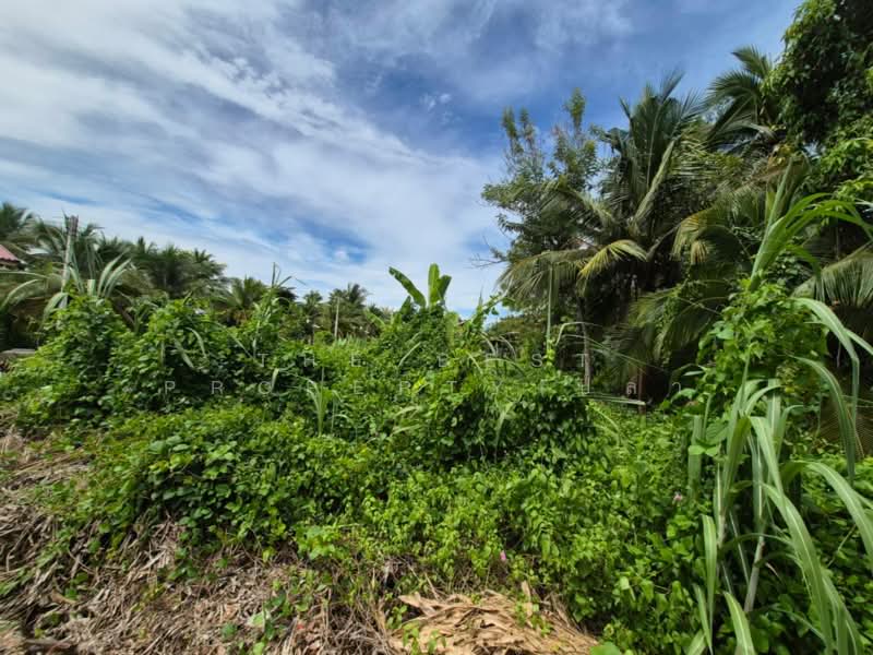 ที่ดินบ้านปรก สมุทรสงคราม, Samut Songkhram, Ban Prok, Muang Samut Songkhram, Samut Songkhram, , 684 sqm, Land For Sale, by The Best Property ปลา, 500220526 - DDproperty.com