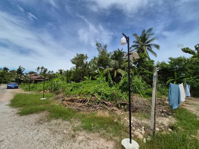 ขาย - ที่ดินบ้านปรก สมุทรสงคราม, สมุทรสงคราม