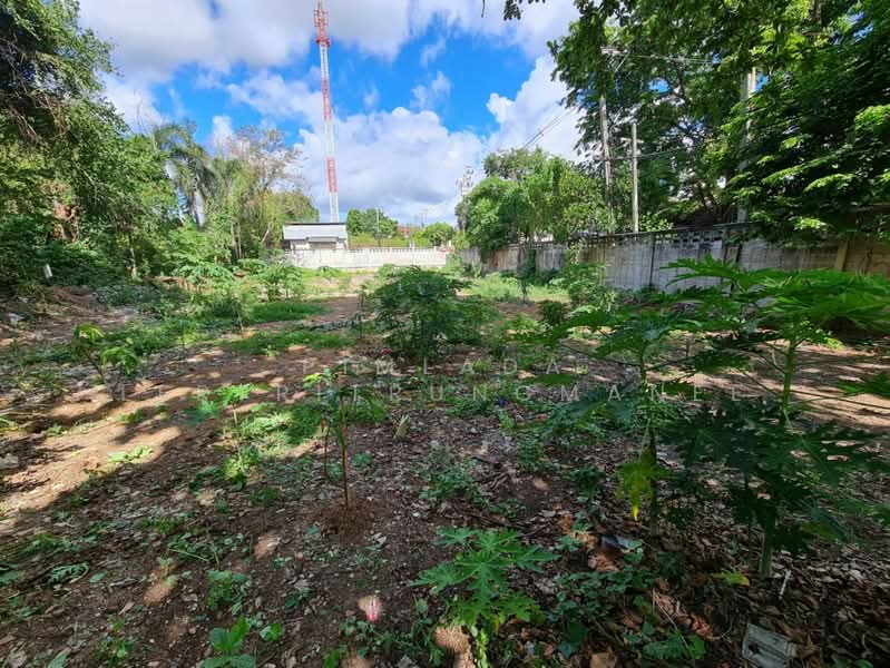 ถนนแก้วเงินทอง, Bangkok, Bang Prom, Taling Chan, Bangkok, , 1,000 sqm, Land For Sale, by Pimlada Lertritrungmanee, 500220527 - DDproperty.com