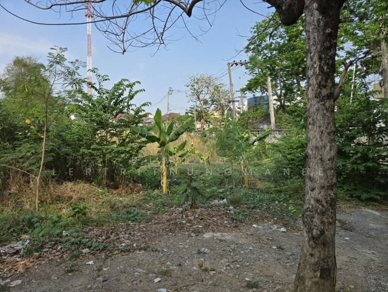 ถนนแก้วเงินทอง, Bangkok, Bang Prom, Taling Chan, Bangkok, , 1,000 sqm, Land For Sale, by Pimlada Lertritrungmanee, 500220527 - DDproperty.com