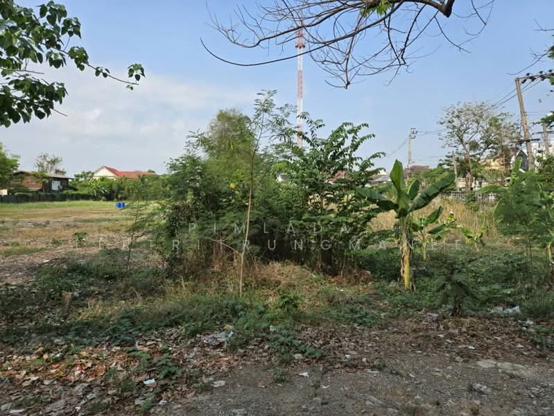 ถนนแก้วเงินทอง, Bangkok, Bang Prom, Taling Chan, Bangkok, , 1,000 sqm, Land For Sale, by Pimlada Lertritrungmanee, 500220527 - DDproperty.com