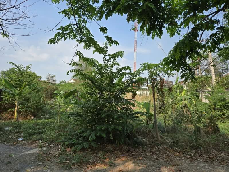 ที่ดินถมแล้ว ถนนแก้วเงินทอง, Bangkok, Bang Prom, Taling Chan, Bangkok, , 1,000 sqm, Land For Sale, by Pimlada Lertritrungmanee, 500220527 - DDproperty.com