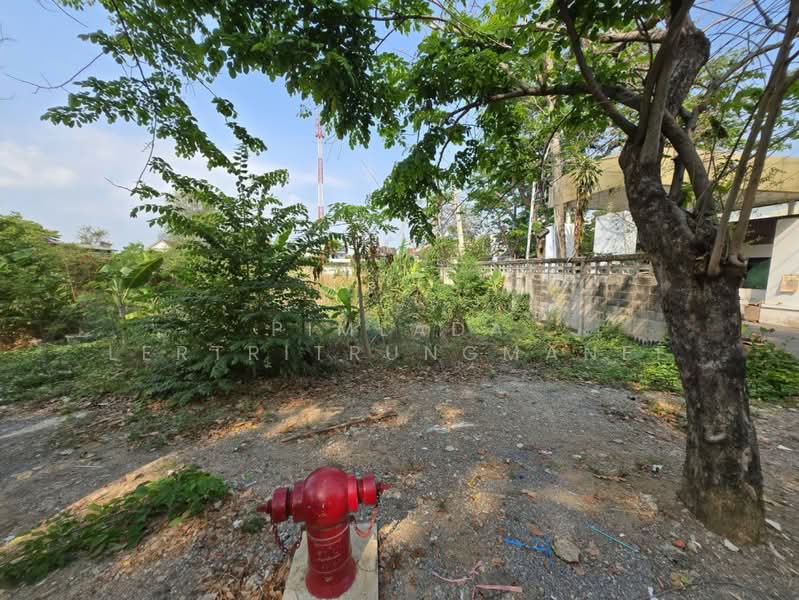 ถนนแก้วเงินทอง, Bangkok, Bang Prom, Taling Chan, Bangkok, , 1,000 sqm, Land For Sale, by Pimlada Lertritrungmanee, 500220527 - DDproperty.com