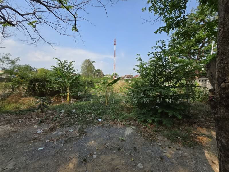 ถนนแก้วเงินทอง, กรุงเทพ, บางพรม, ตลิ่งชัน, กรุงเทพ, 1,000 ตร.ม., ที่ดิน ขาย, โดย Pimlada Lertritrungmanee, 500220527 - DDproperty.com