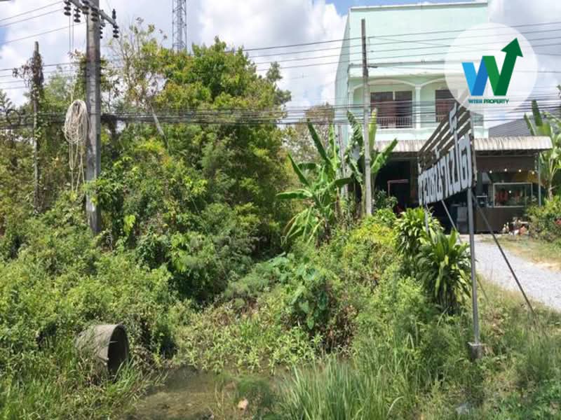 ขาย - ขายที่ดินติดถนนเอเชียข้างโชว์รูมฟอร์ดพัทลุง, พัทลุง